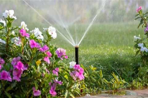 Proper Watering and Fertilization for a Beautiful Outdoor Space