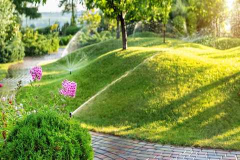 The Benefits of Hiring Professionals for Landscaping and Tree Services