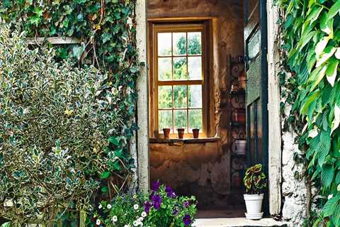 Weed Control: How to Keep Your Outdoor Space Looking Beautiful