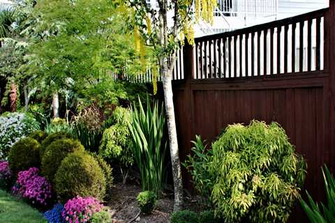Dealing with Weeds and Pests: Transforming Your Outdoor Space into a Beautiful Oasis