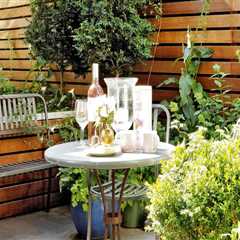 Choosing Plants for Your Garden: Transform Your Outdoor Living Space