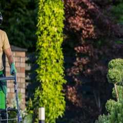 The Importance of Access to Professional Equipment and Materials for Landscaping and Tree Services
