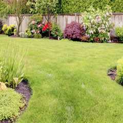 Hardscaping: Enhance Your Outdoor Space with Professional Landscaping and Tree Services