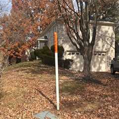 Fall Leaf Cleanup: Protecting Your Garden And Patio Décor In Northern Virginia
