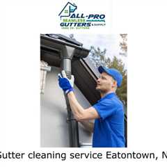 Gutter cleaning service Eatontown, NJ