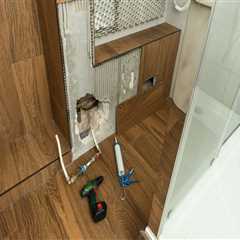 Water Damage Removal Service In Greater Dallas: The Mold Inspection Follow-Up You Can’t Ignore