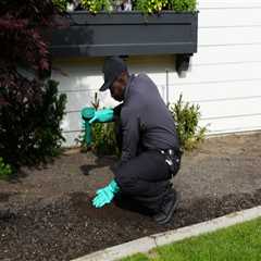 What Are The Importance Of Rodent Control Services For Landscaping Trees In Murfreesboro, TN