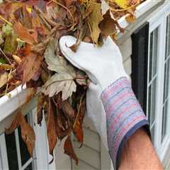 Removing Debris from Gutters and Roof Surface: A Comprehensive Guide for Residential and Commercial ..