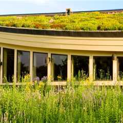 Green Roofs: A Comprehensive Guide for Commercial and Residential Roofing