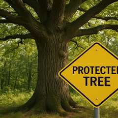 Penalties for Cutting Protected Trees Without Permits
