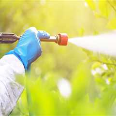 What You Need To Know About A Wildlife Removal Company In Greenbelt, Maryland?