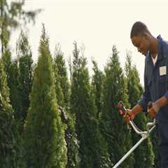 Curb Appeal Sells: Why Landscape Contracting In The Portland Metropolitan Area Is Top-Tier Home..
