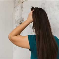 Uncover the Hidden Dangers: Why Mold Inspection Is Essential for a Healthy Home