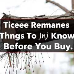 Tree Removal Things To Know Before You Buy