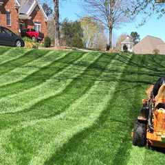 Arborist Services In Marion, NC: The Perfect Partner To Your Lawn Care