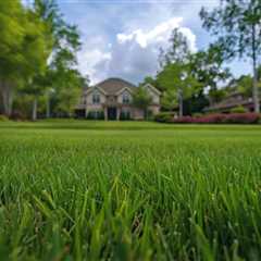 Redlands City Lawn Mowing Service