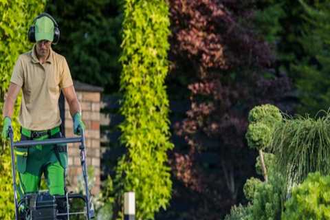 The Importance of Access to Professional Equipment and Materials for Landscaping and Tree Services