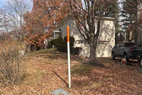 Fall Leaf Cleanup: Protecting Your Garden And Patio Décor In Northern Virginia