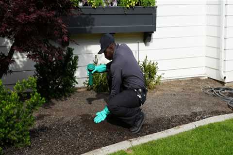 What Are The Importance Of Rodent Control Services For Landscaping Trees In Murfreesboro, TN