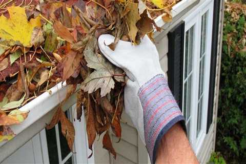 Removing Debris from Gutters and Roof Surface: A Comprehensive Guide for Residential and Commercial ..