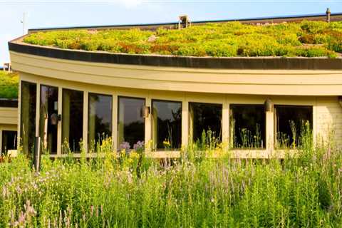 Green Roofs: A Comprehensive Guide for Commercial and Residential Roofing