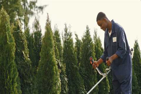 Curb Appeal Sells: Why Landscape Contracting In The Portland Metropolitan Area Is Top-Tier Home..