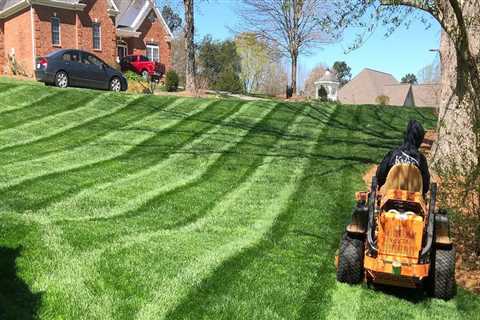 Arborist Services In Marion, NC: The Perfect Partner To Your Lawn Care