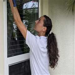 How Professional Janitorial Services Can Improve The Appearance Of Replacement Windows And Doors In ..