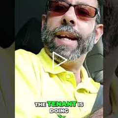 Tenant vs. Owner: Pest Control Chaos!