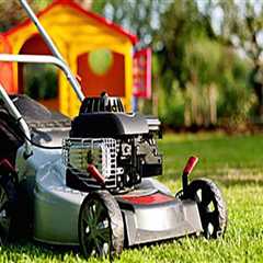 The Ultimate Guide To Tree Care Services In New Hampshire: Keeping Your Yard Healthy And..