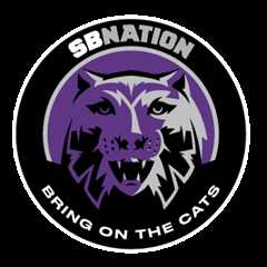 PaintBuddyCo Profile and Activity - Bring On The Cats