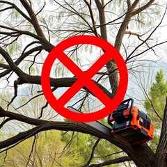 The Smart Trick Of Tree Removal Taylorsville Utah That Nobody Is Discussing