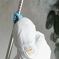 Rodent Control And Beyond: The Ultimate Pest Control Strategy Every Orlando Home Needs