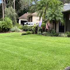 Landscape Contractors In Longwood: Why Timely Pest Exterminator Services Prevent Costly Rework