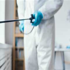 Longwood Homeowners: Choose Professional Pest Control Services Over Risky DIY Pest Control