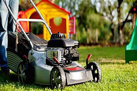The Ultimate Guide To Tree Care Services In New Hampshire: Keeping Your Yard Healthy And..