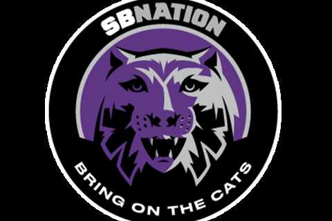 PaintBuddyCo Profile and Activity - Bring On The Cats
