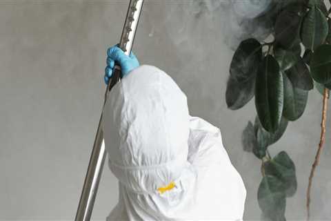Rodent Control And Beyond: The Ultimate Pest Control Strategy Every Orlando Home Needs