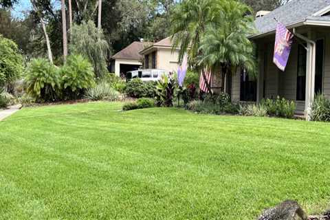 Landscape Contractors In Longwood: Why Timely Pest Exterminator Services Prevent Costly Rework