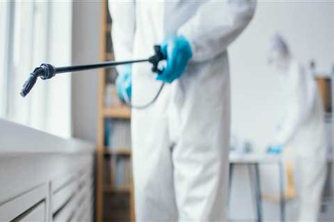 Longwood Homeowners: Choose Professional Pest Control Services Over Risky DIY Pest Control
