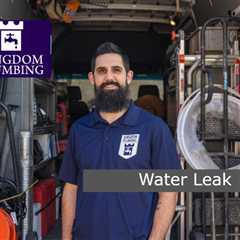 Water Leak