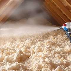 South Florida Attic Cleaning And Sanitizing | NaturePest