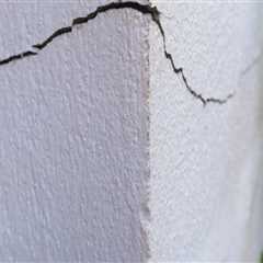 Secure Your Foundation Repair Investment In Paradise, NV By Starting With Pest Management