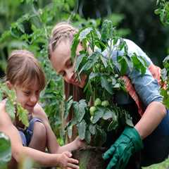 Guard Your Garden: Top Outdoor Pest Control Solutions for Every Season