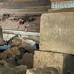 Leveling Up: What to Expect During Pier and Beam Foundation Repair