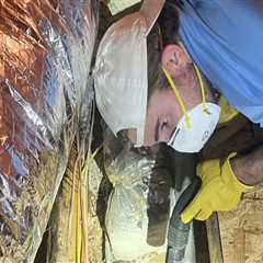 Flood Damage Repair In Charleston, SC: Why Cleanup Comes Before Groundskeeping