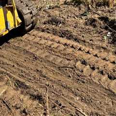 Stump Grinding Service With Advanced Forestry Equipment: A Smart Choice In Johnson City