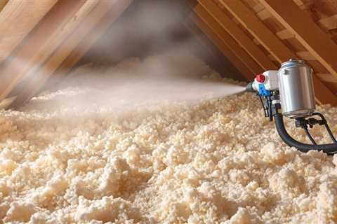 South Florida Attic Cleaning And Sanitizing | NaturePest