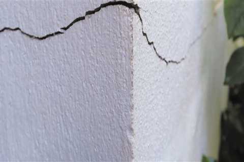 Secure Your Foundation Repair Investment In Paradise, NV By Starting With Pest Management