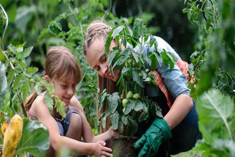 Guard Your Garden: Top Outdoor Pest Control Solutions for Every Season